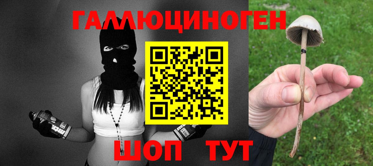 Псилоцибиновые грибы Psilocybe  Вход с VPN  Галлюциногенные грибы Magic Shrooms  Киров 